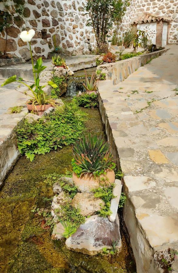 Casa El Patio Del Limon, Con Piscina Βίλα Montecorto Εξωτερικό φωτογραφία